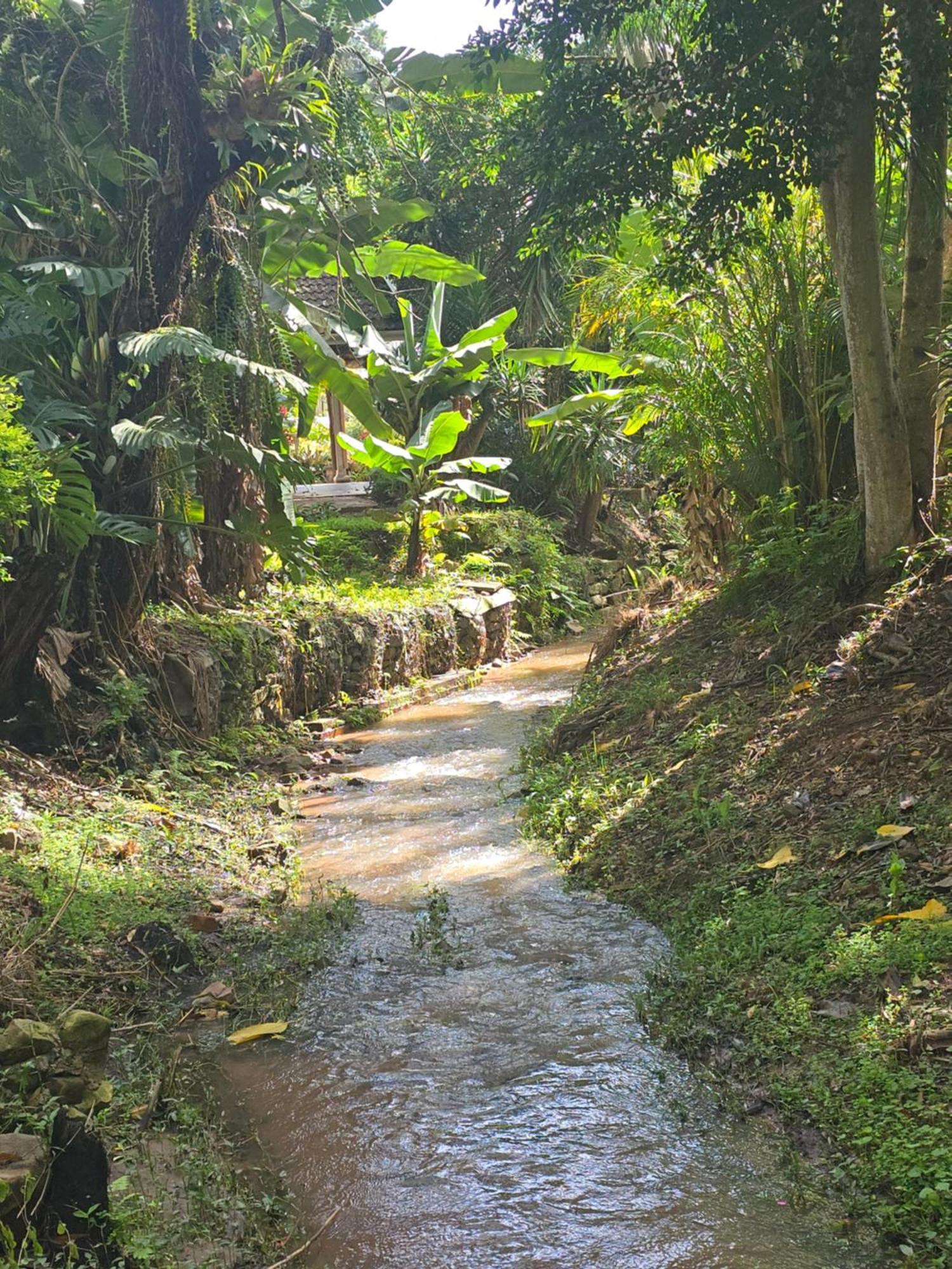 River Heaven Bnb Pinetown Esterno foto